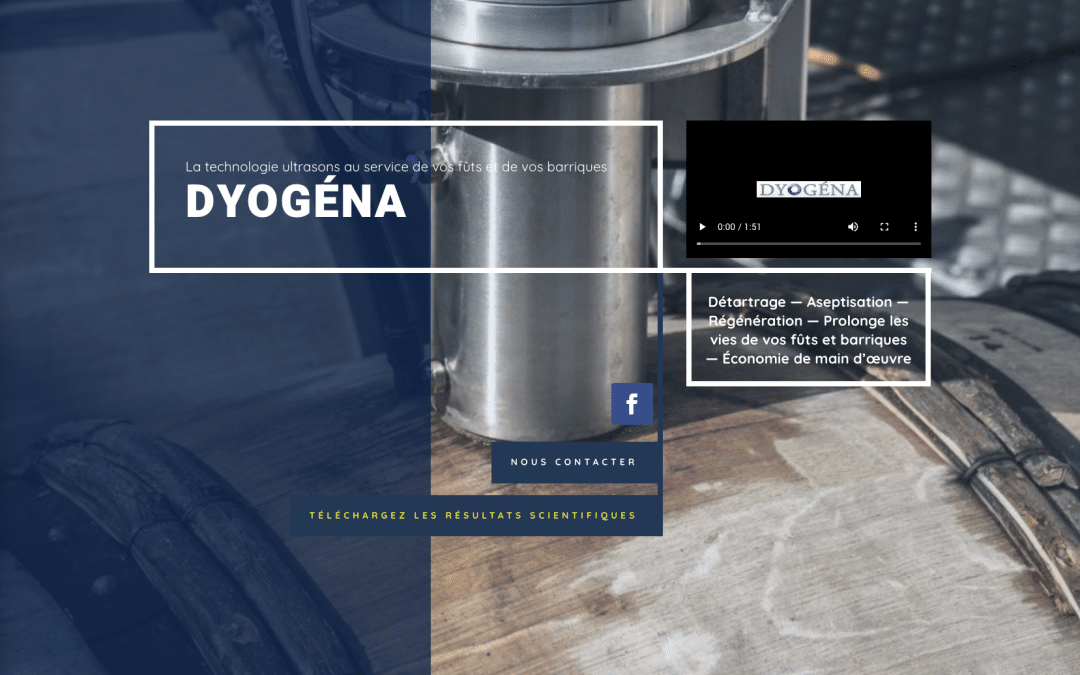 Création de site internet pour Dyogéna à Blanquefort