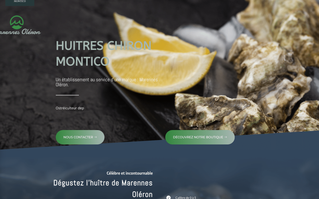 Création de site internet pour Chiron Montico à Marennes d&rsquo;Oléron