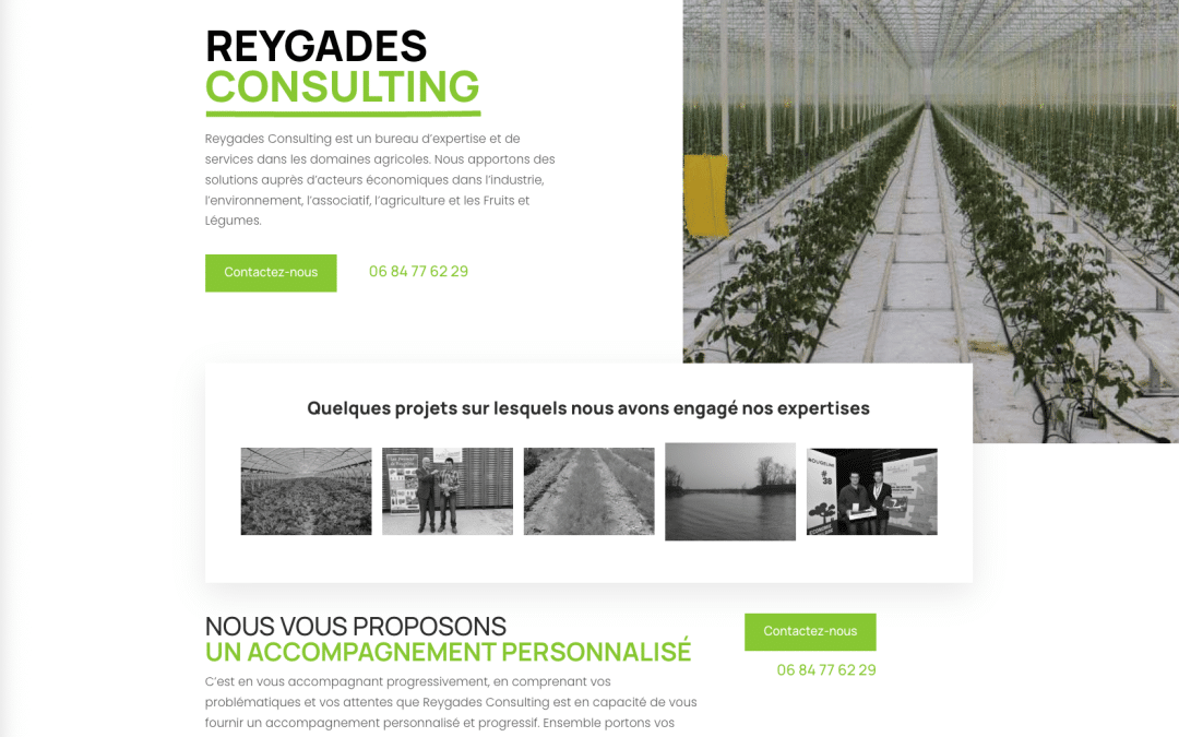 Création de site internet pour Reygades Consulting à Parempuyre