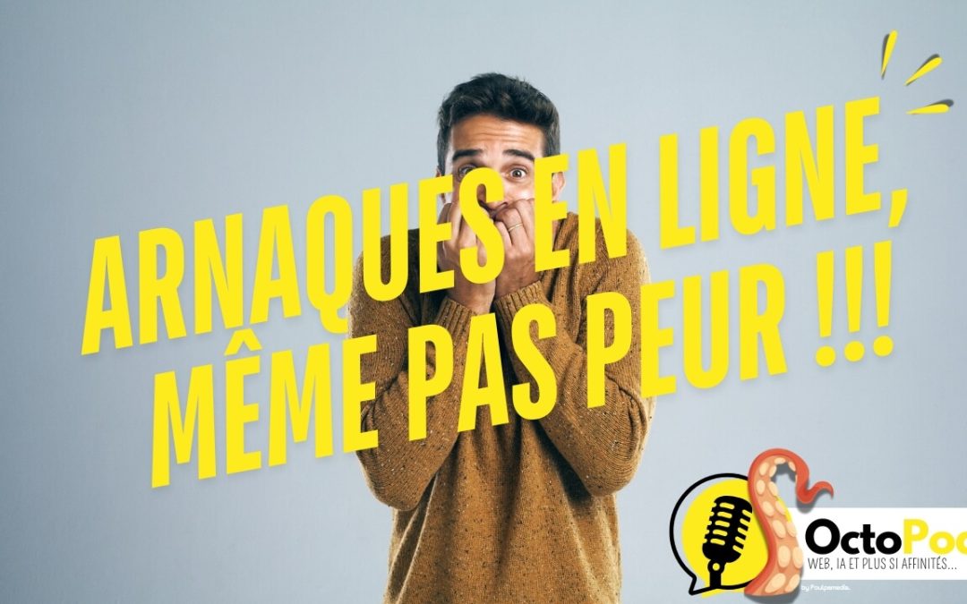 « Arnaques en ligne : même pas peur ! » – Les bons réflexes pour éviter de se faire plumer…