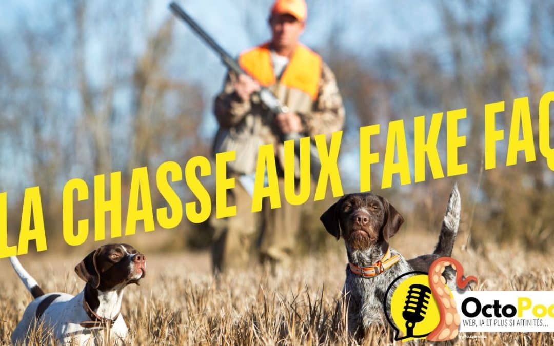 La Chasse aux Fake FAQ