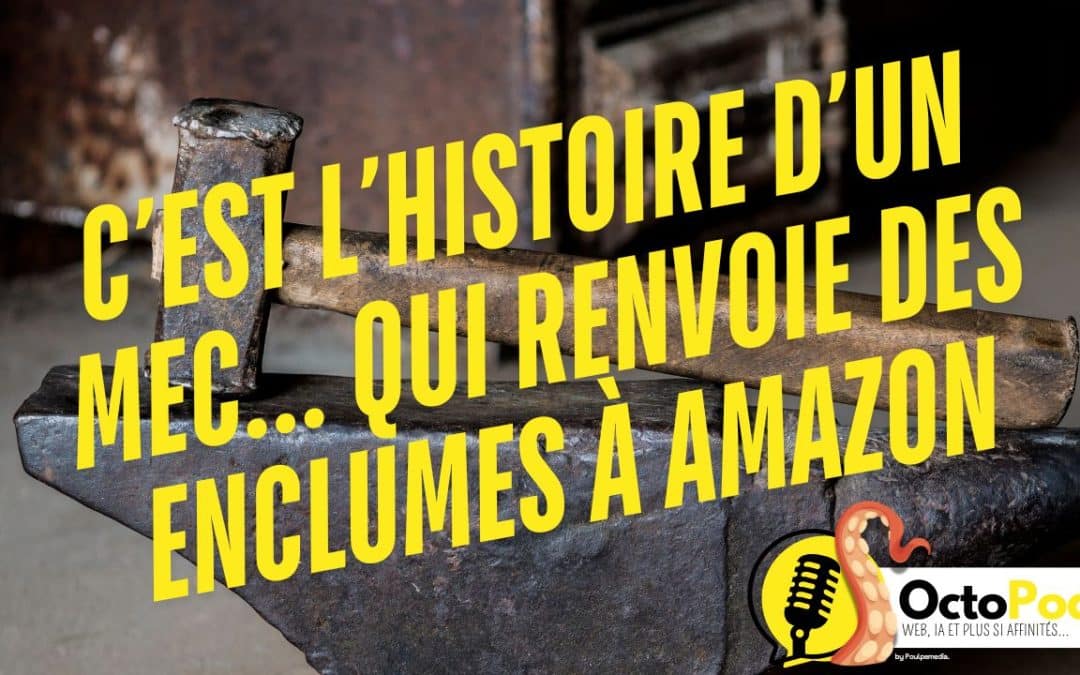 Le mec qui renvoie des enclumes à Amazon