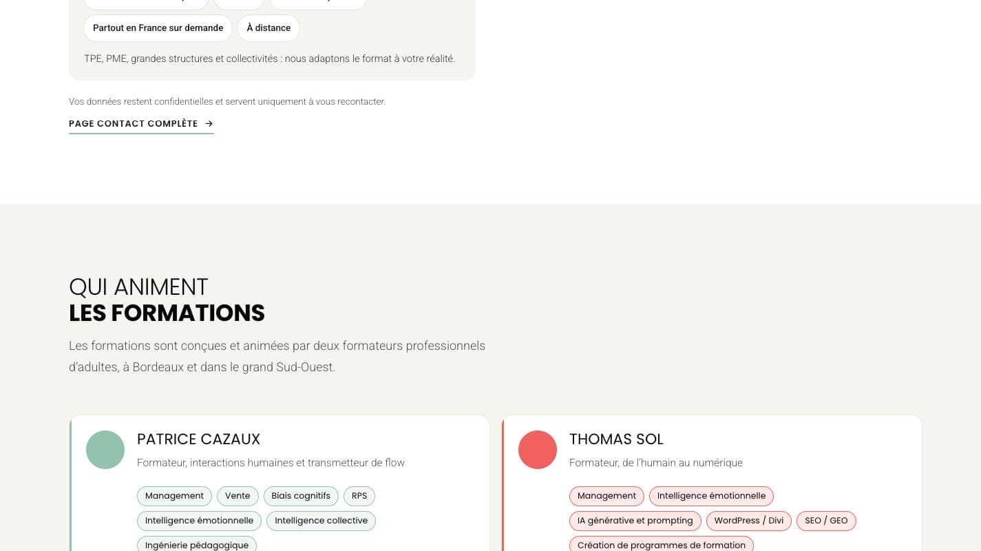 Aperçu du site Flow Buster