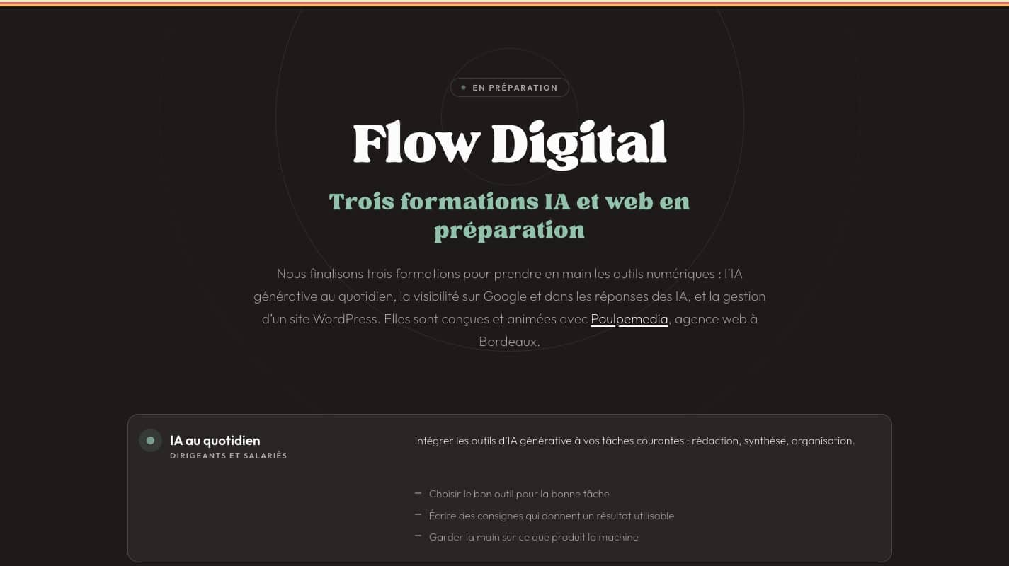 Aperçu du site Flow Buster