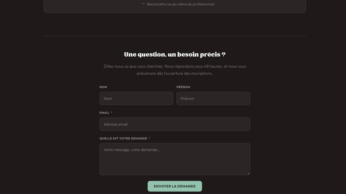 Aperçu du site Flow Buster