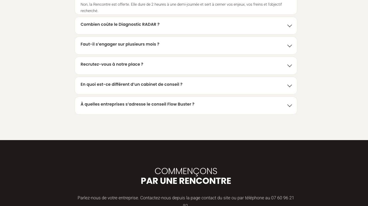 Aperçu du site Flow Buster