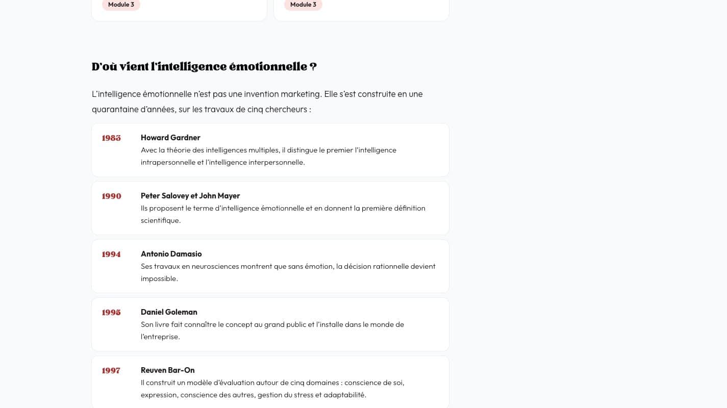 Aperçu du site Flow Buster