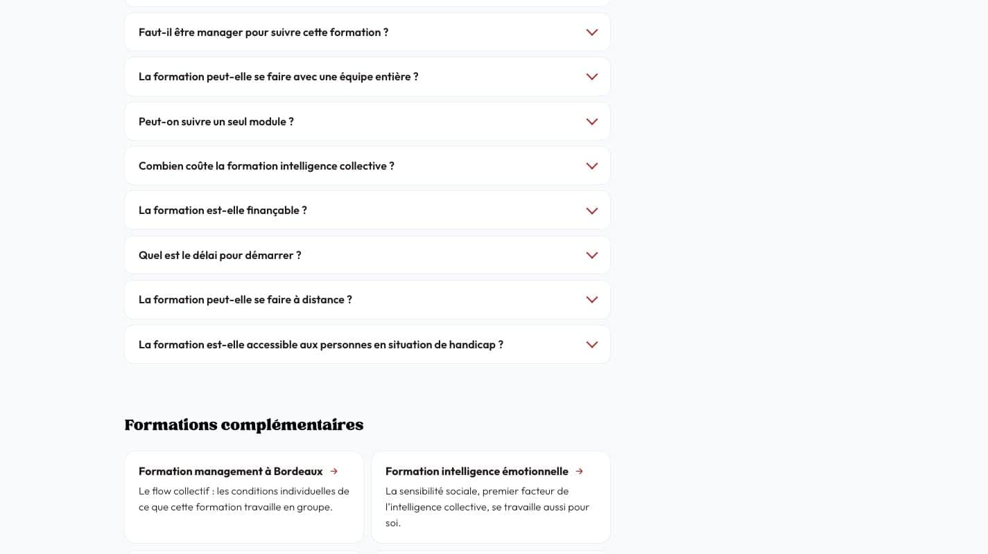 Aperçu du site Flow Buster