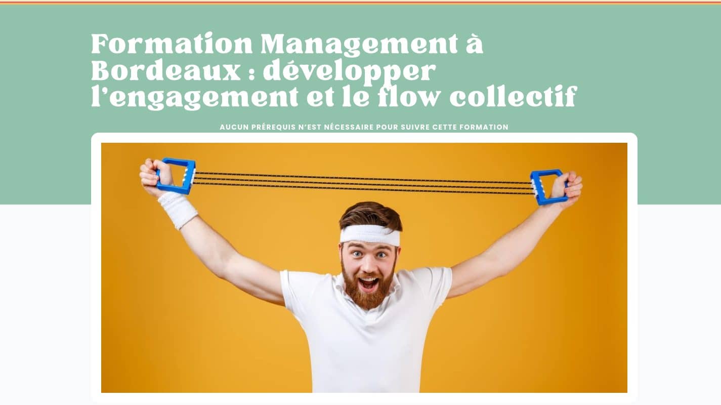 Aperçu du site Flow Buster