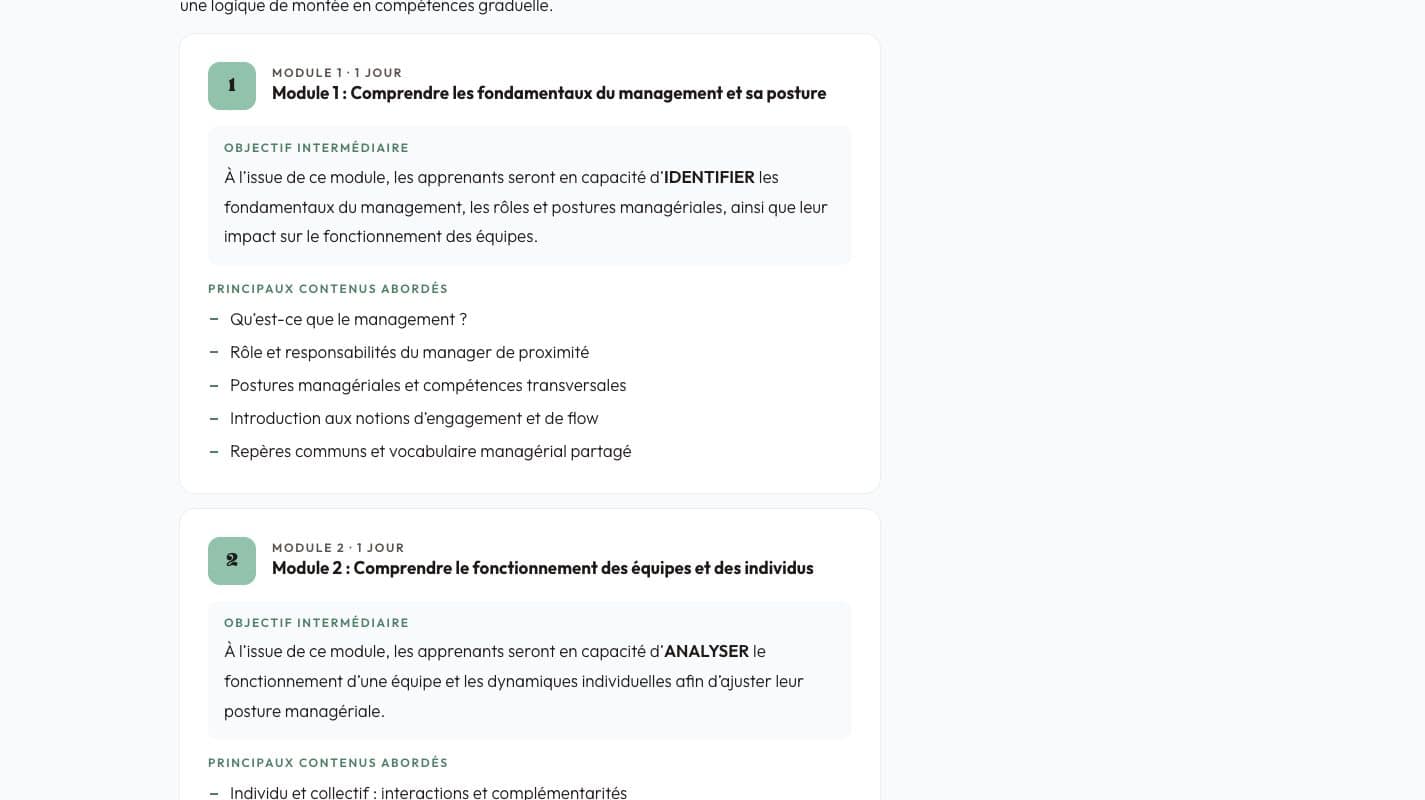 Aperçu du site Flow Buster