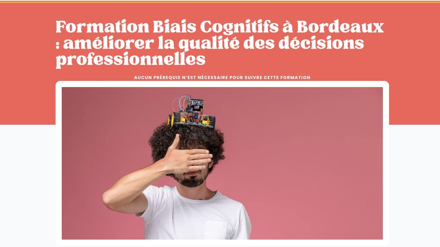 Aperçu du site Flow Buster