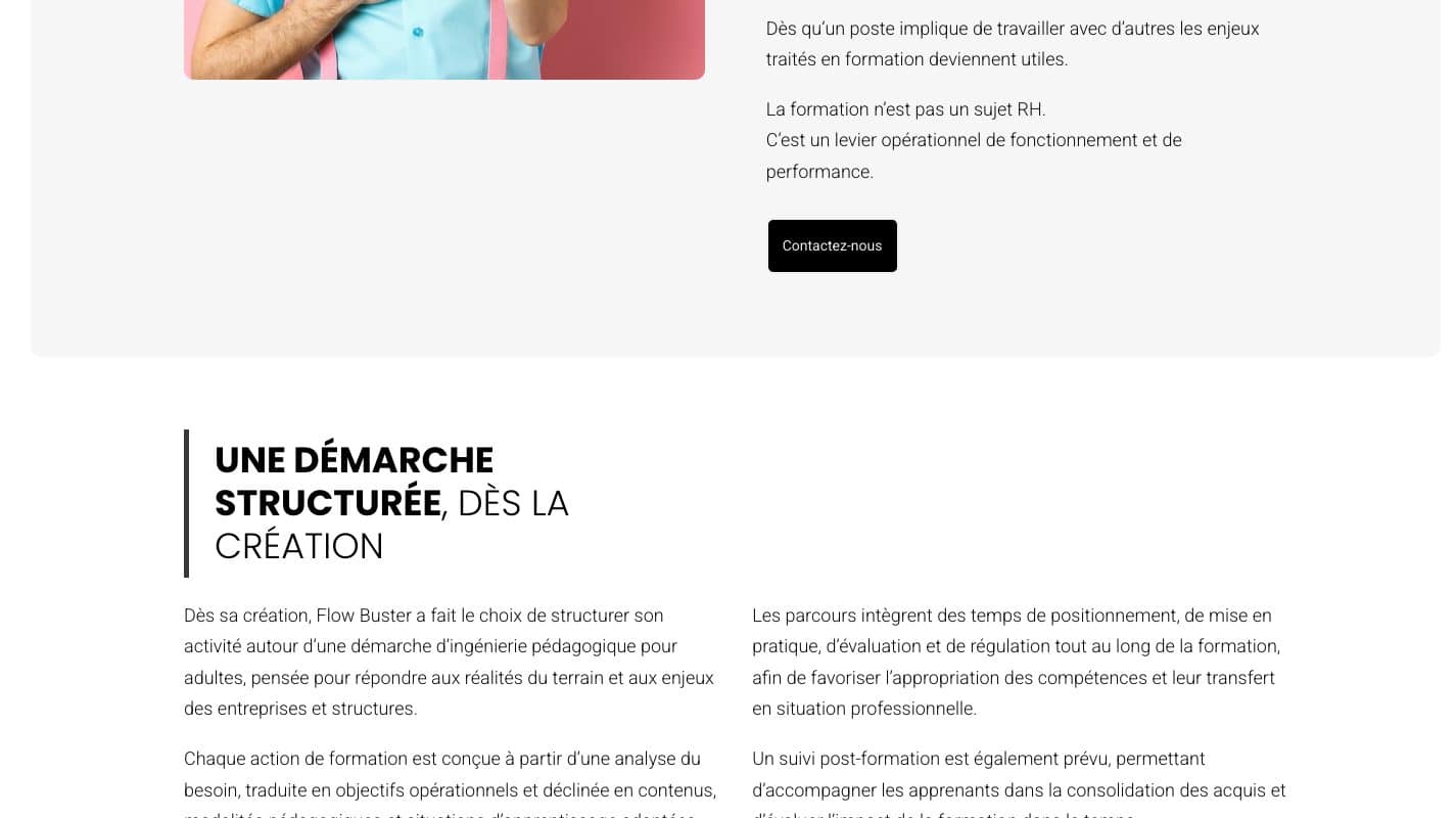 Aperçu du site Flow Buster