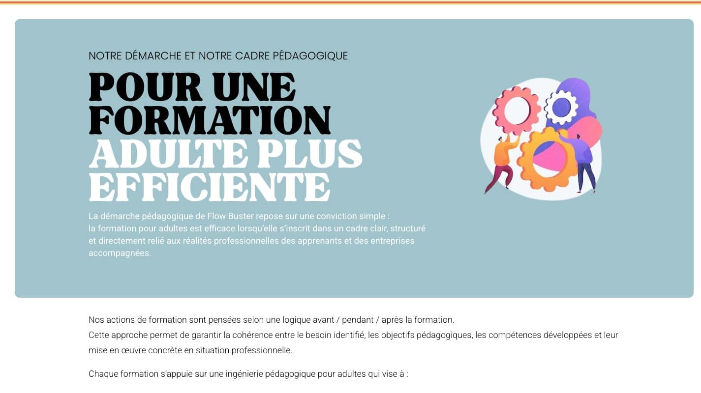 Aperçu du site Flow Buster