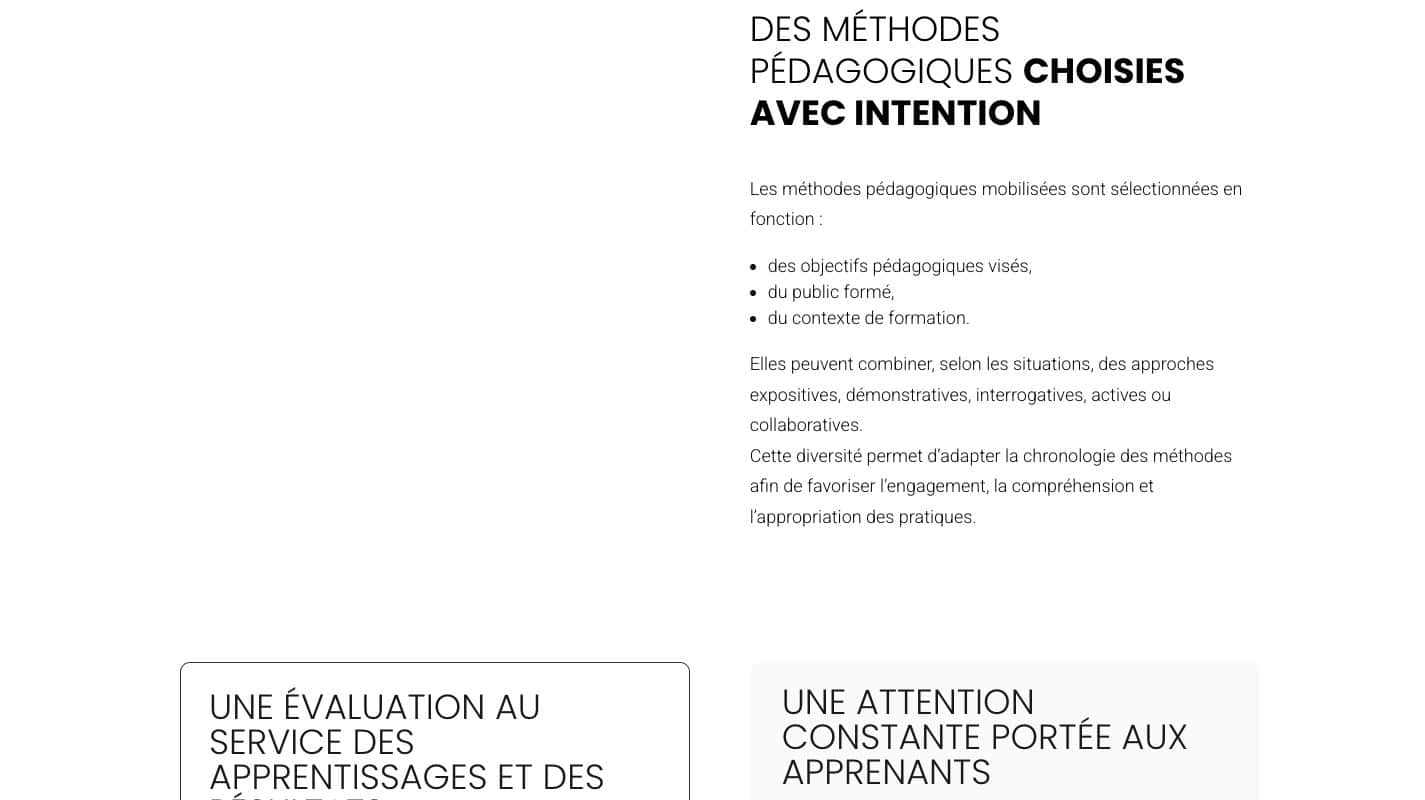 Aperçu du site Flow Buster