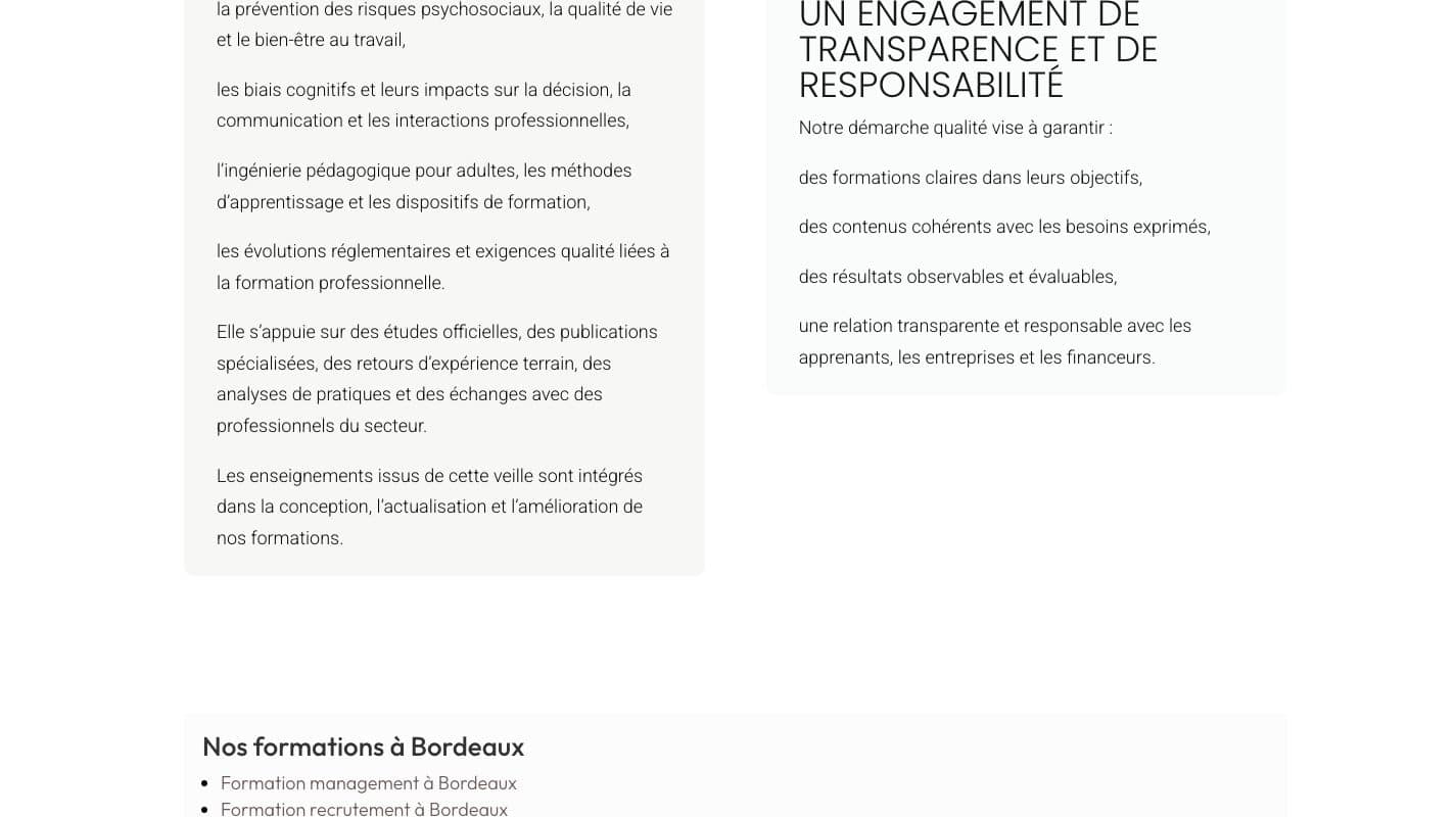 Aperçu du site Flow Buster